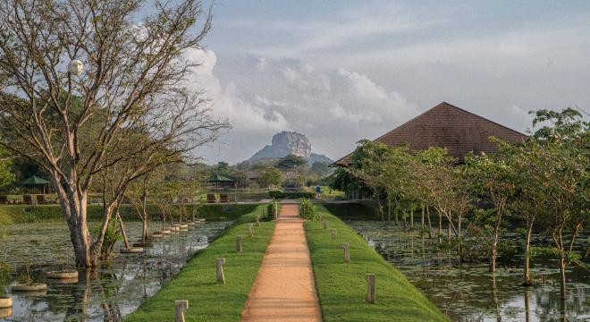 Sigiriya in the backdrop from the Water Garden Sigiriya Hotel in Sri Lanka on an In-Style small group tour